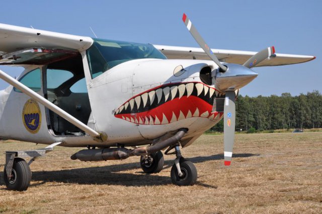 2016_Flugtag_Wilsche (65)